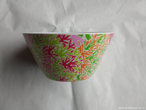 Melamine picnic Bowl 